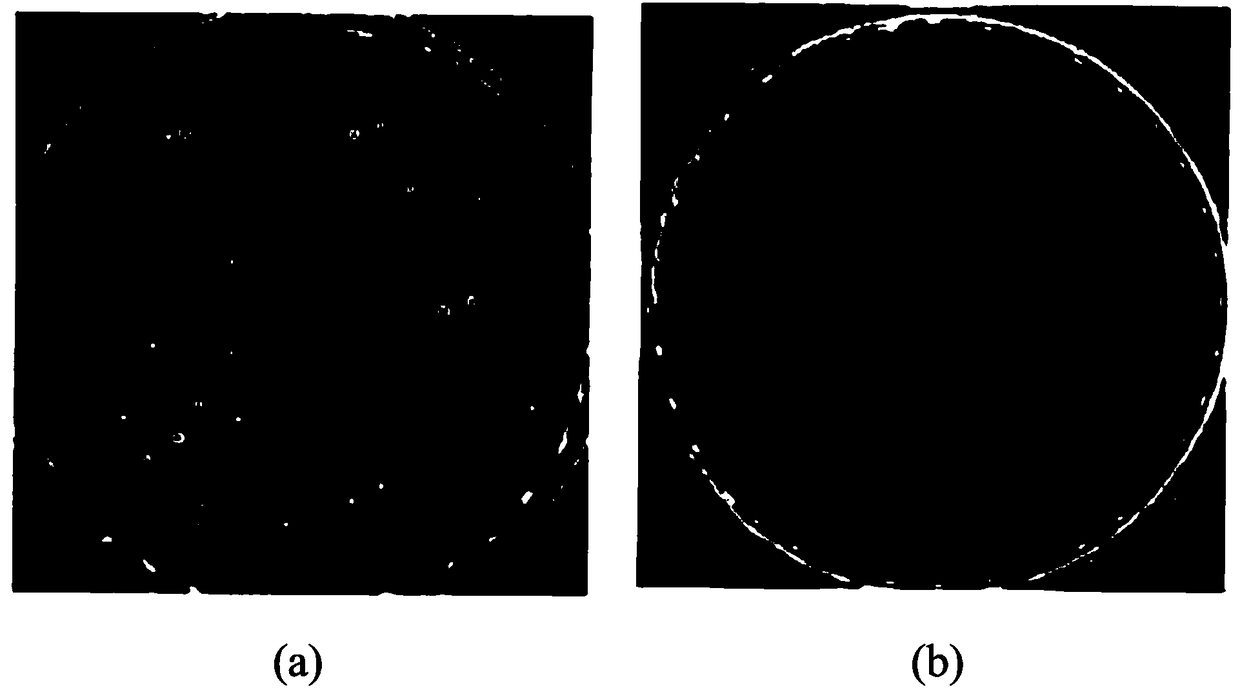 Copper nano composite antibacterial coating and preparation method thereof