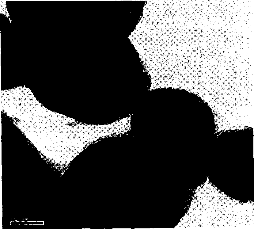 Process for preparing titanium dioxide with dispersion sensitive property and high weatherability