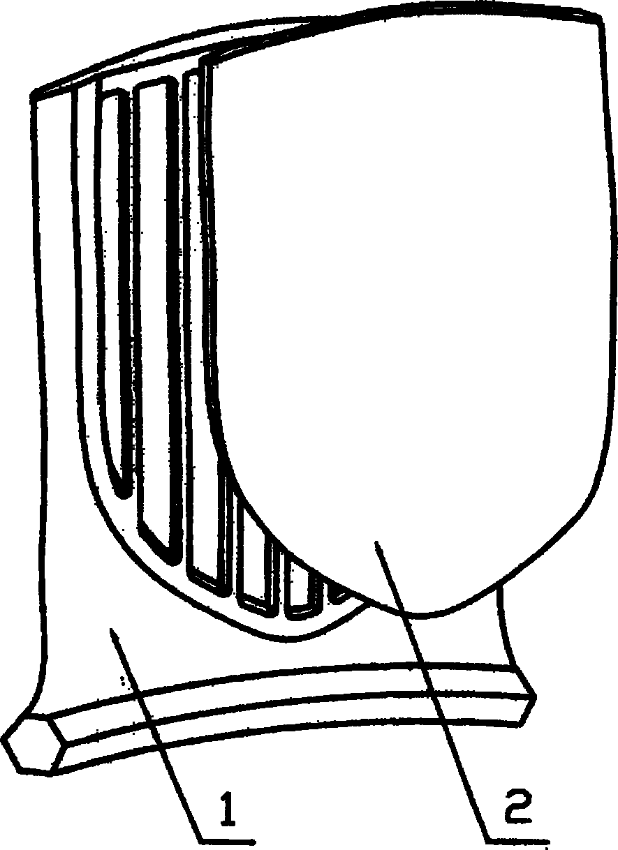 Hollow fan blade for aircraft engine