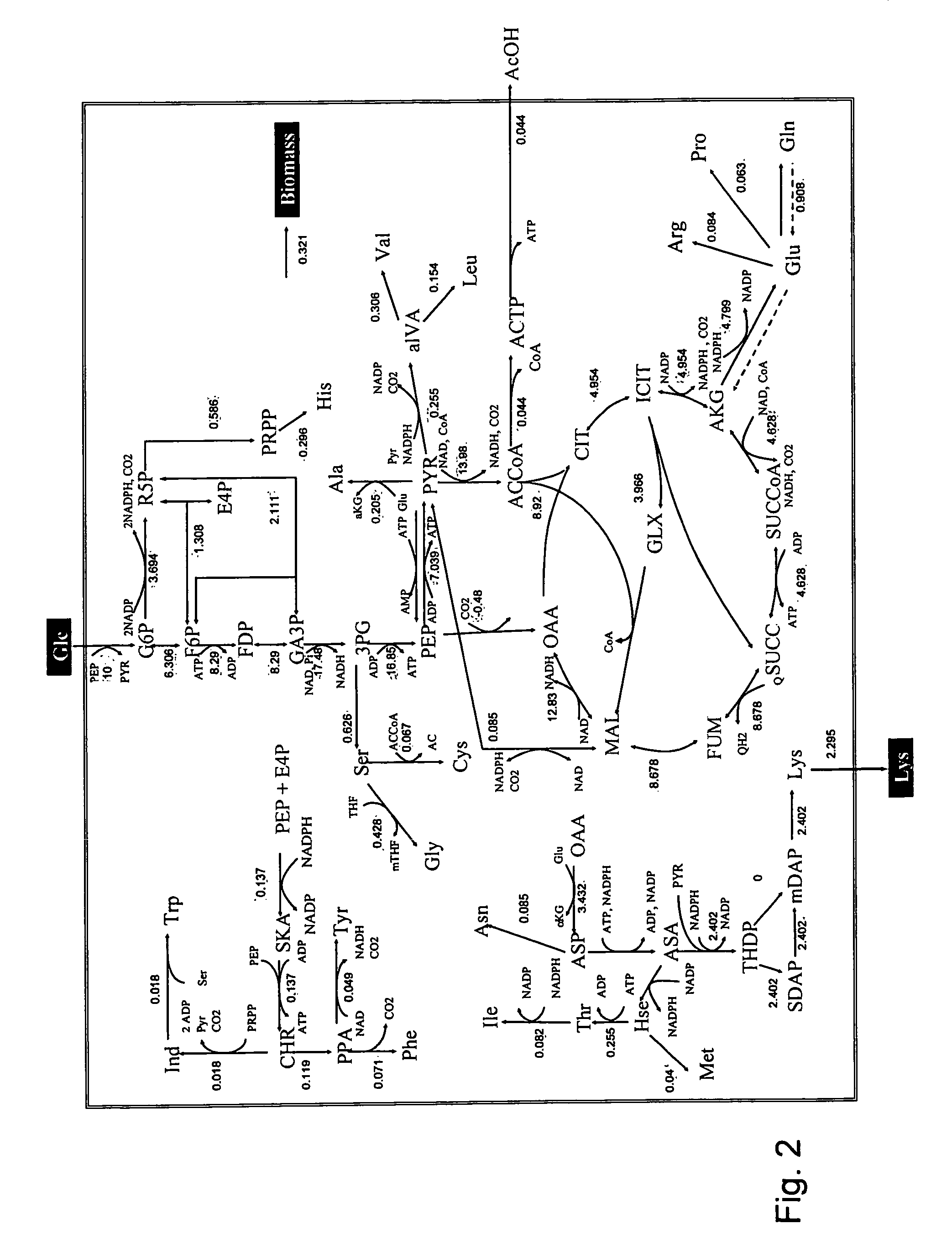 Intracellular metabolic flux analysis method using substrate labeled with isotope