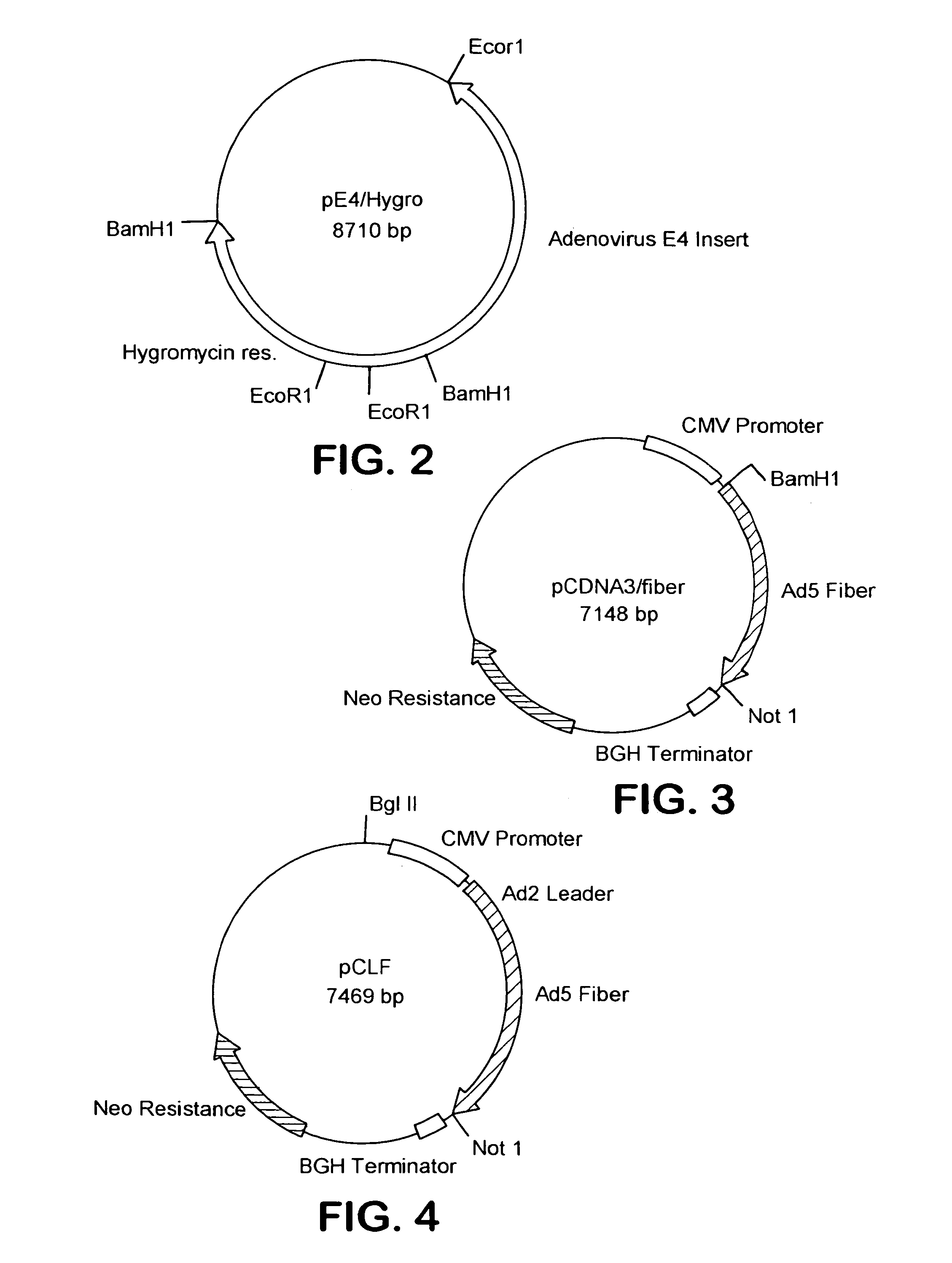 Adenovirus vectors, packaging cell lines, compositions, and methods for preparation and use