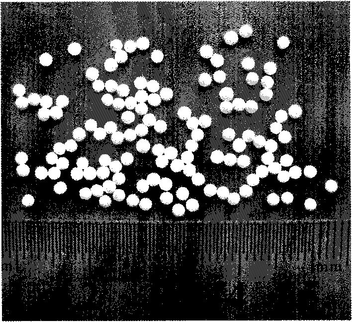 Collagen spherical honeycombed grain material, producing method and apparatus thereof