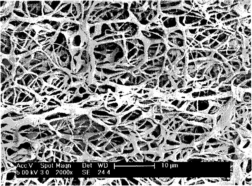 Collagen spherical honeycombed grain material, producing method and apparatus thereof