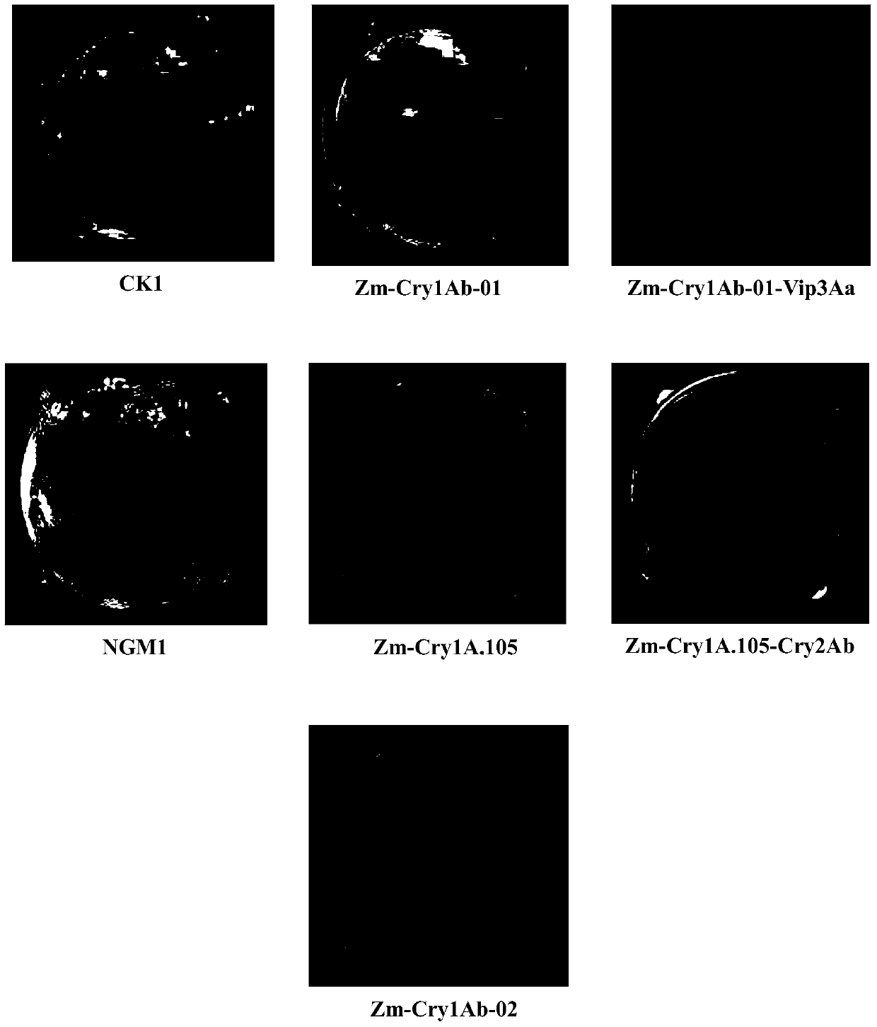 Method for controlling pests