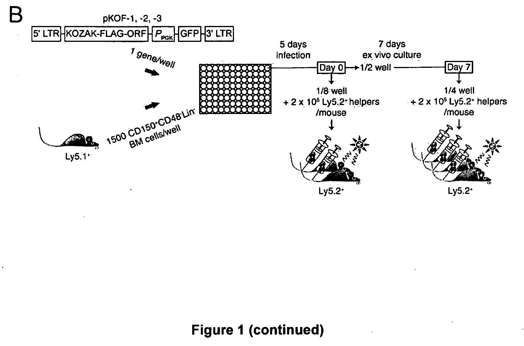 Methods and kits for expanding hematopoietic stem cells