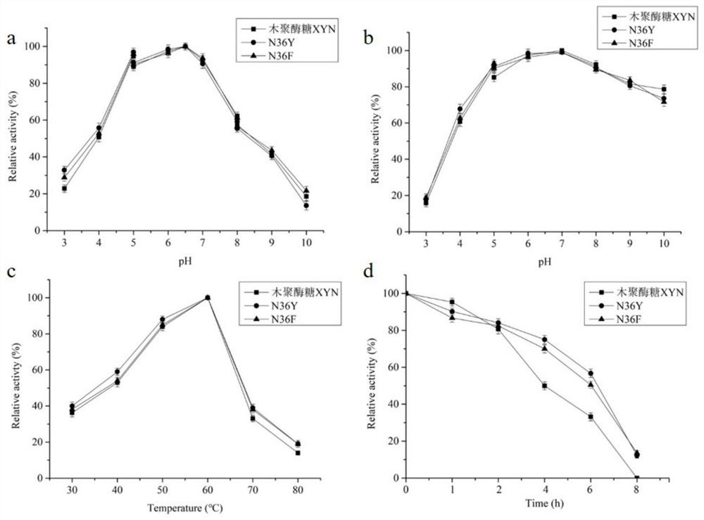 High-specific-enzyme-activity xylanase mutant and application thereof