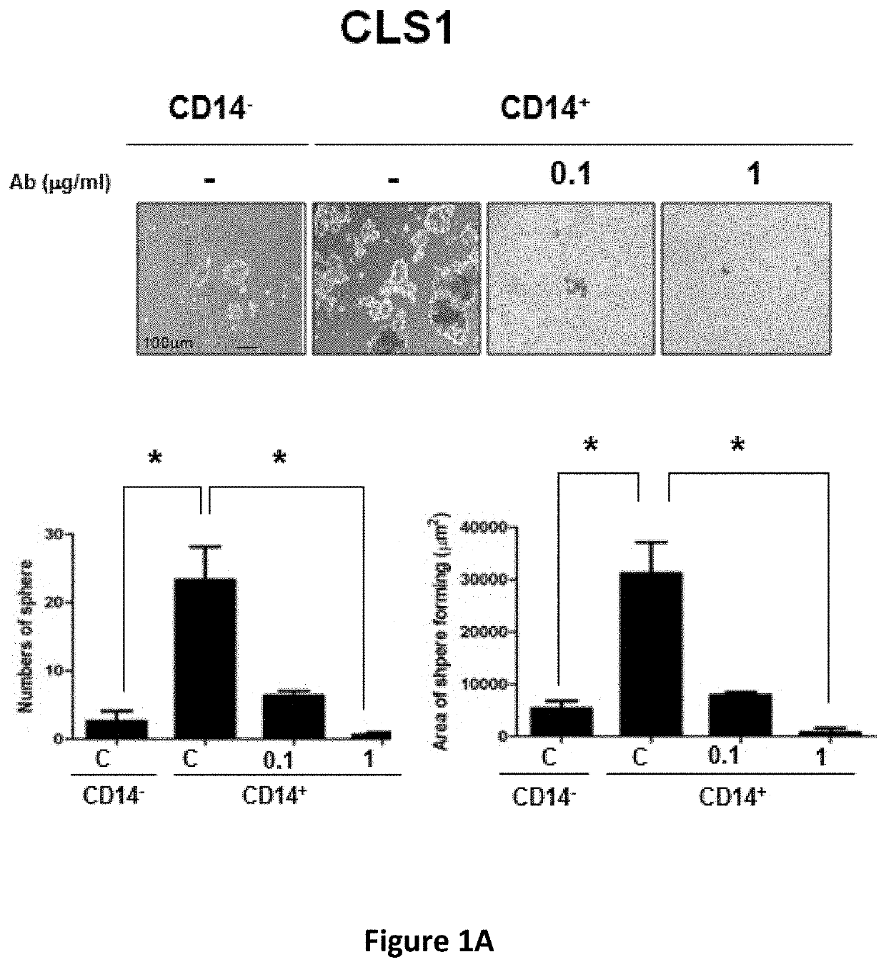 Method for treating cancer using cd14 antagonists