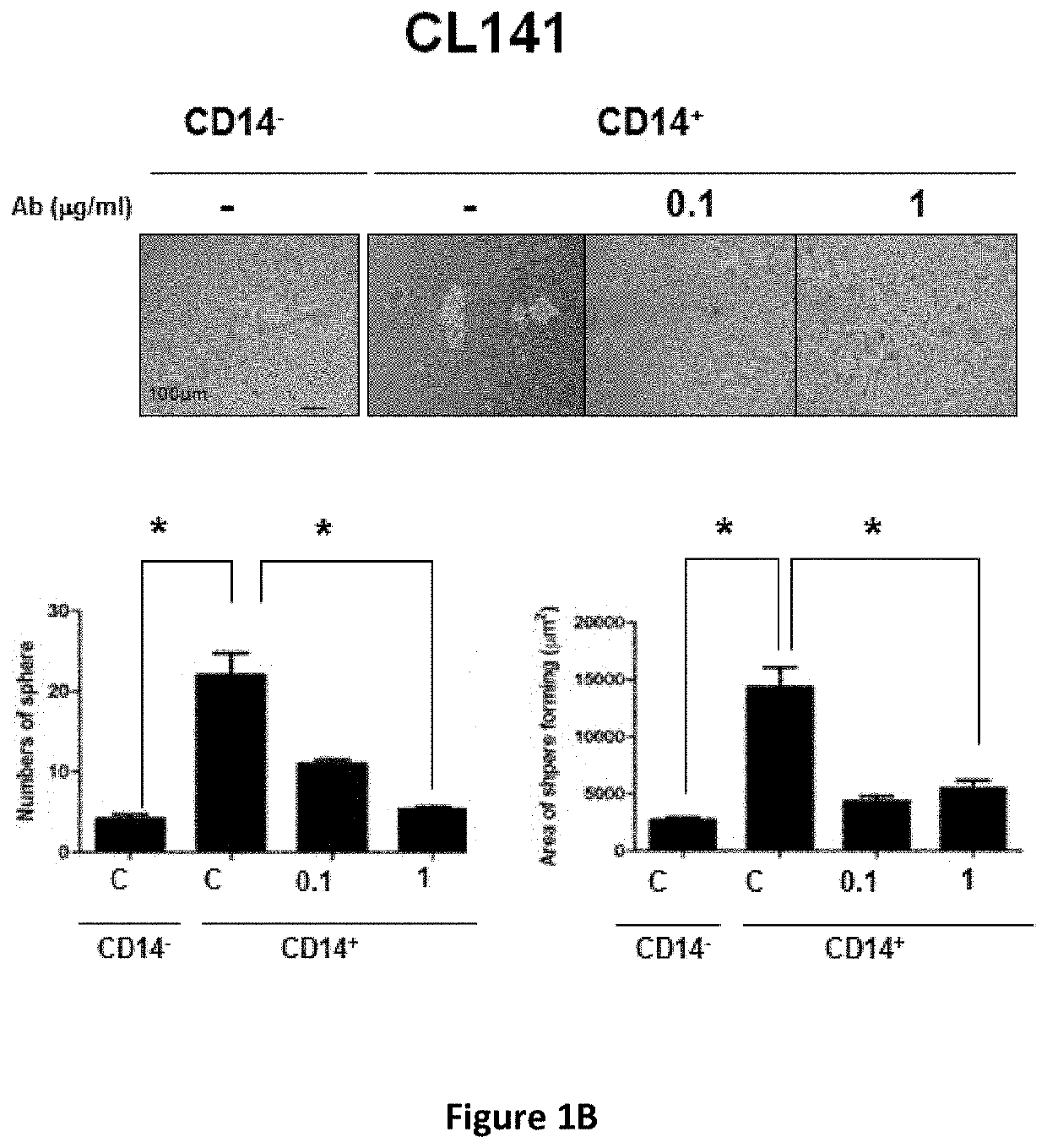 Method for treating cancer using cd14 antagonists