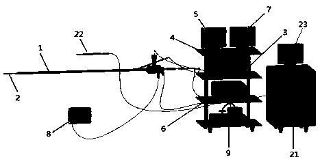 Ultrasonic microscopic examination system for mediastinal lesions