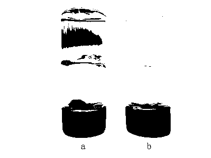 Carboxymethyl cellulose based reversible photochromic hydrogel and its preparation method