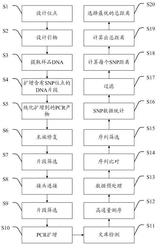 A quantitative method for the proportion of fetal free dna in the peripheral blood of pregnant women