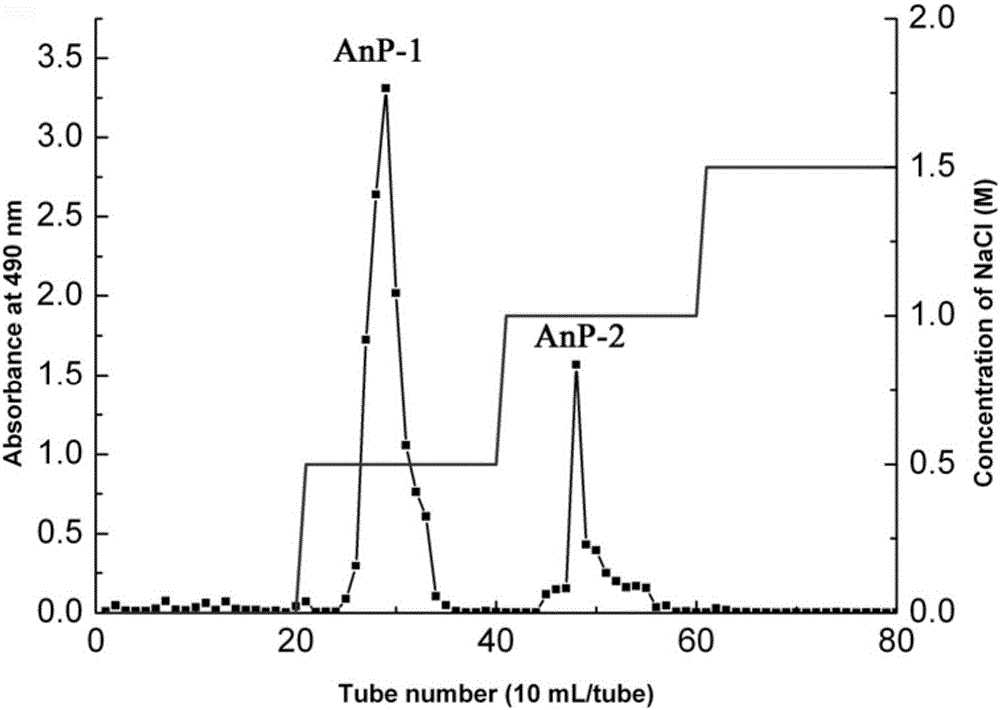 Yellow tang sulfated polysaccharide as well as preparation method and application thereof