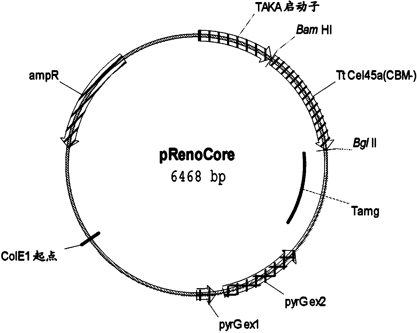 Method for treating textile with endoglucanase