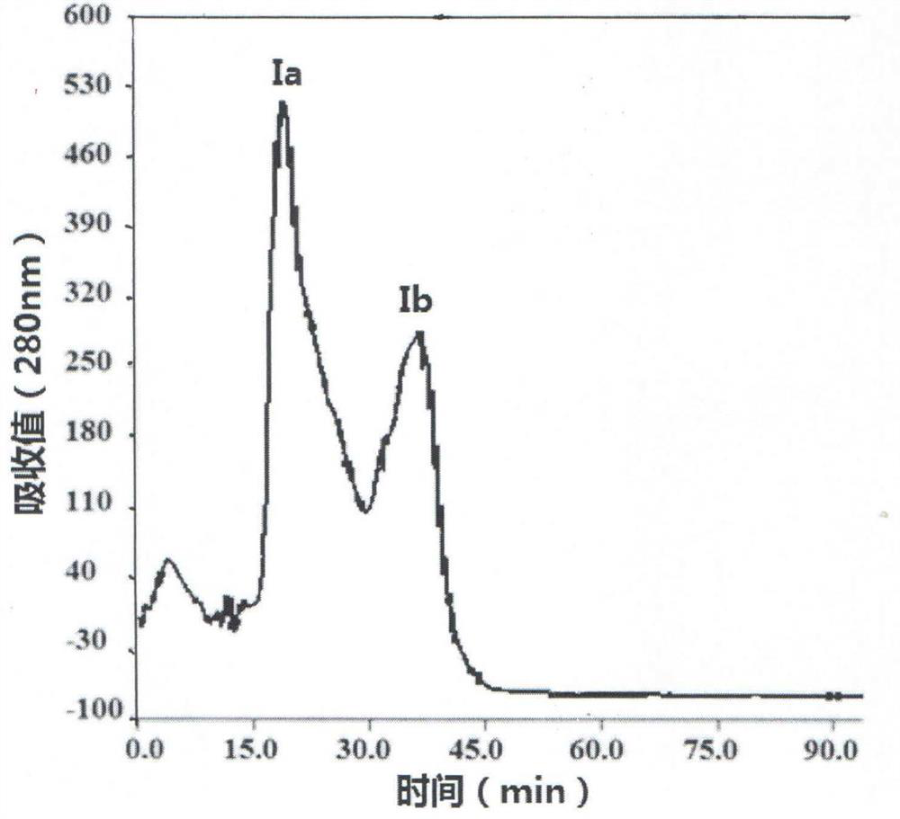 A kind of preparation method and application of camel milk antioxidant polypeptide