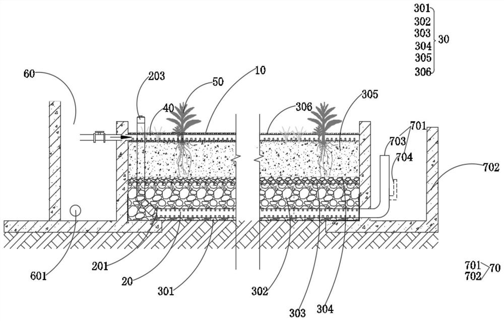 Ecological treatment system for purifying sewage