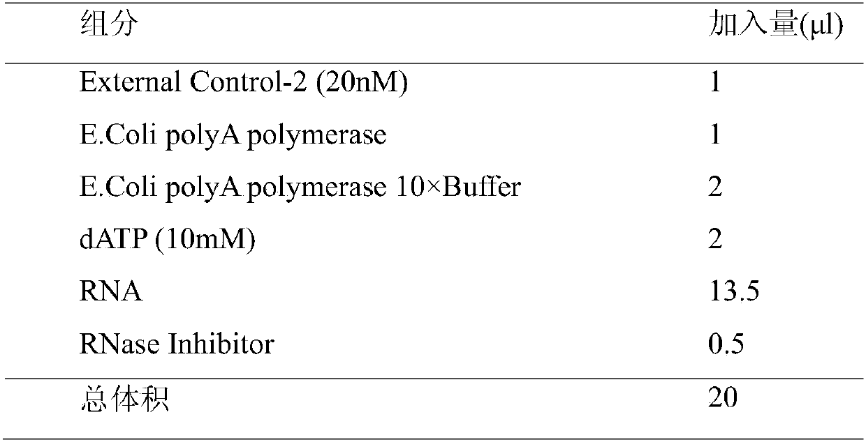 Colorectal cancer microRNA molecular marker and application thereof