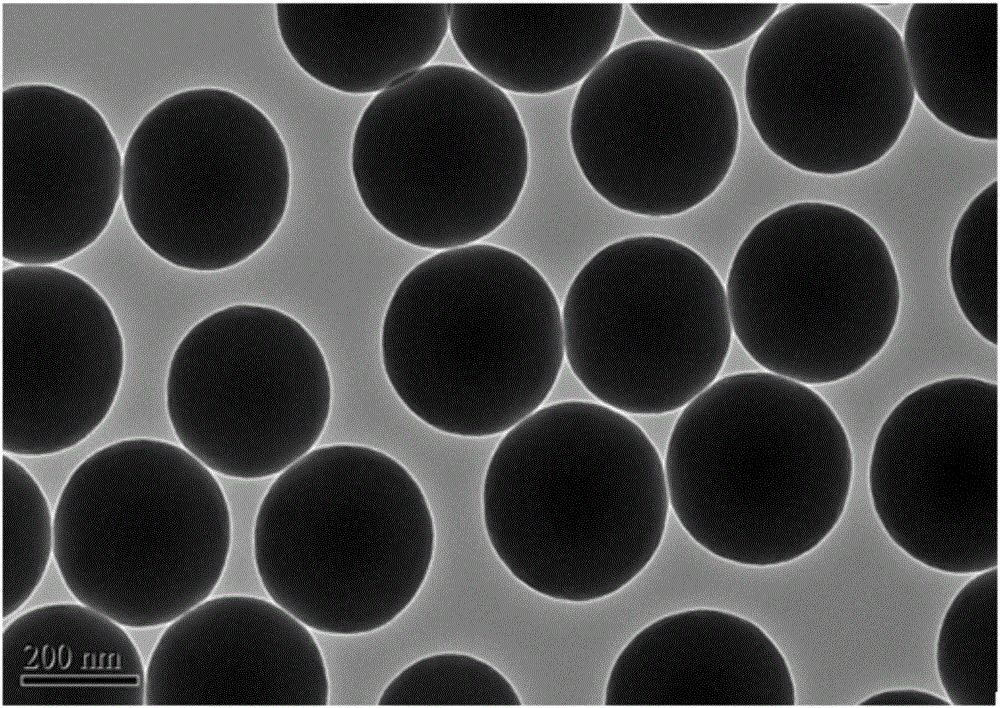 Gadolinium-doped hollow vesicle structure nanocomposite, and preparation and application thereof