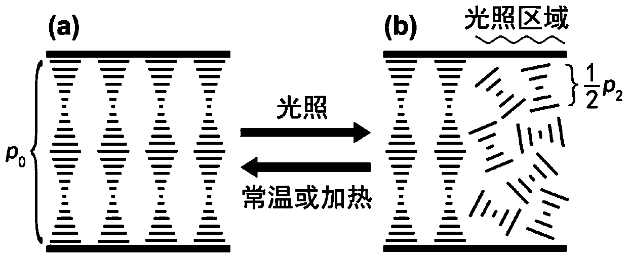 Bistable liquid crystal device with optical writing or optical erasing function and preparation method thereof