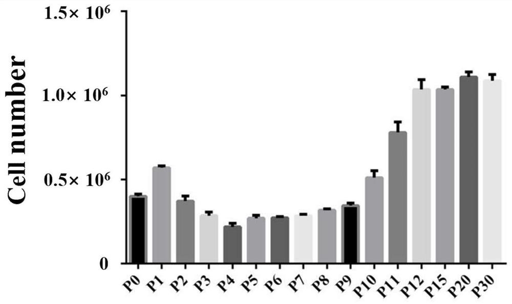 A kind of culture system and culture method of lacrimal gland stem cells and lacrimal gland stem cells