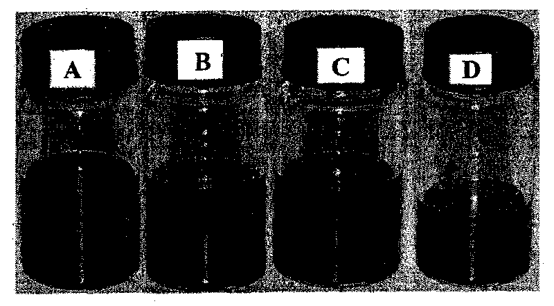 Method for preparing composite material of graphene and graphene poly-p-phenylenediamine