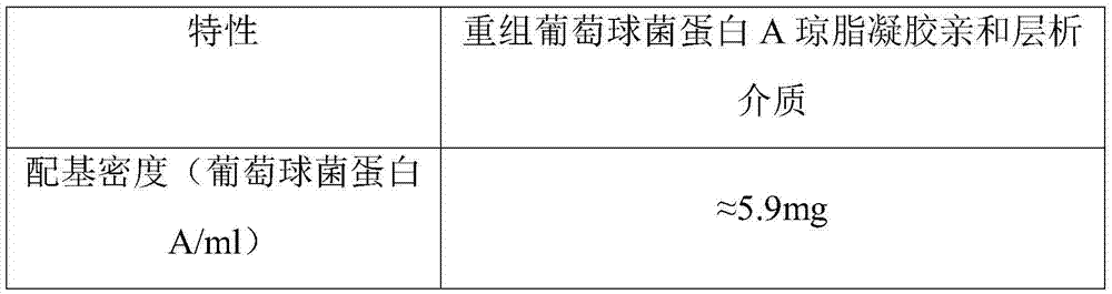 Novel staphylococcus protein A and preparation method thereof and application