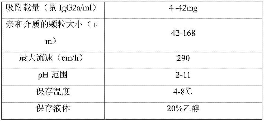 Novel staphylococcus protein A and preparation method thereof and application