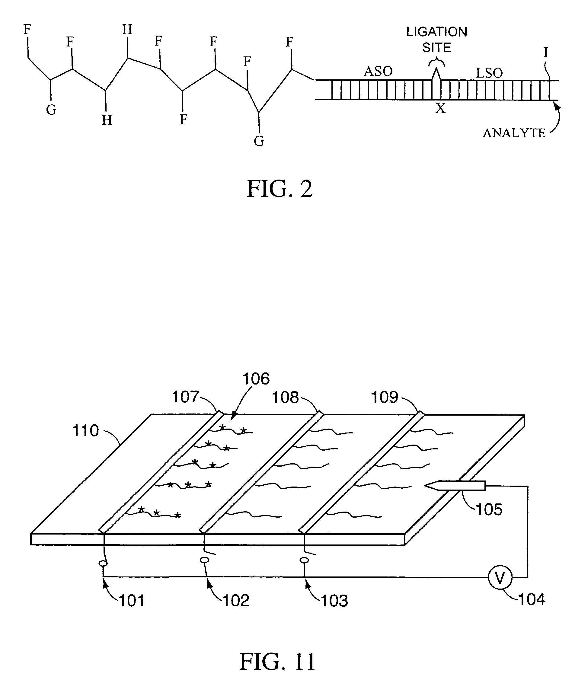 Multiplex detection compositions, methods, and kits