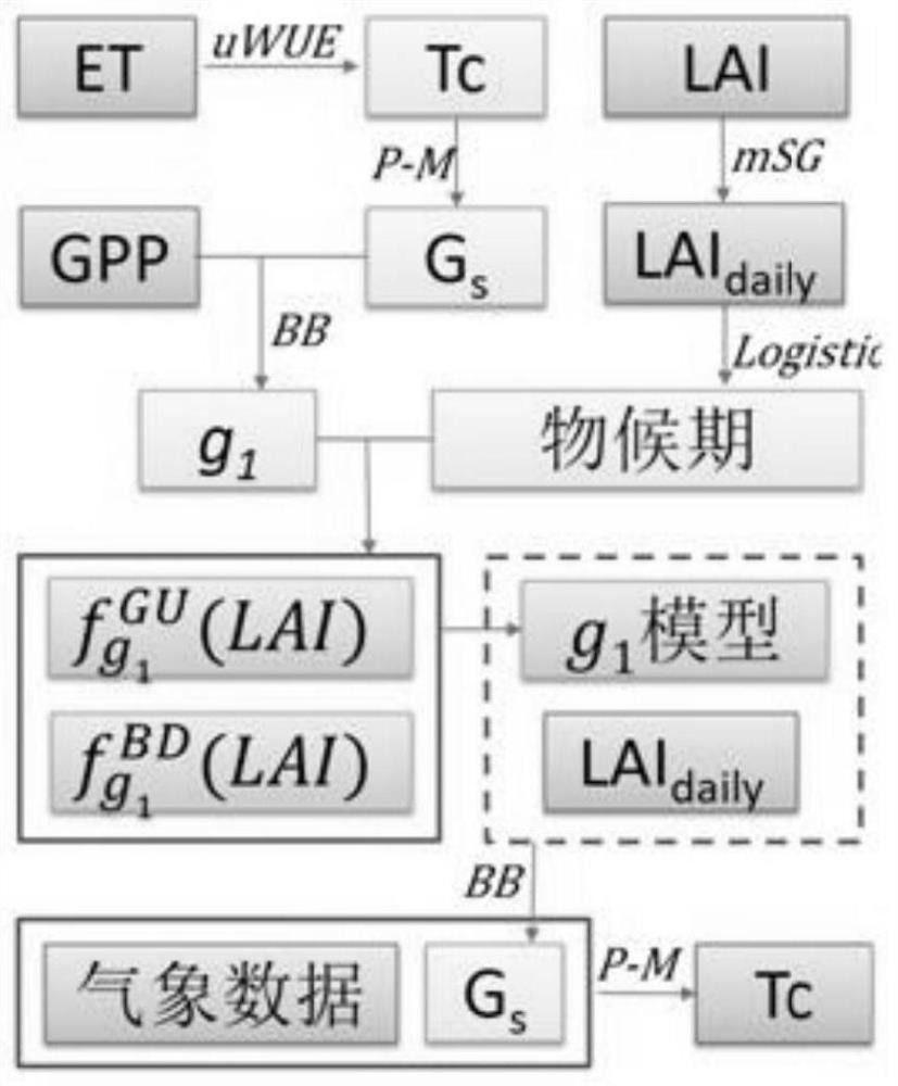 Vegetation canopy transpiration inversion algorithm considering phenological information