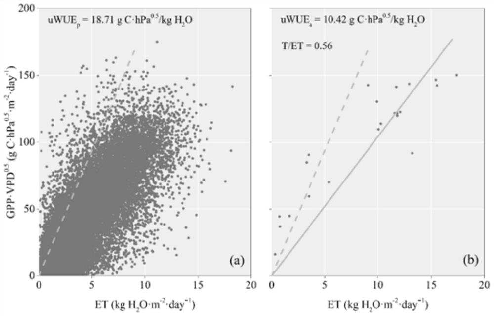 Vegetation canopy transpiration inversion algorithm considering phenological information