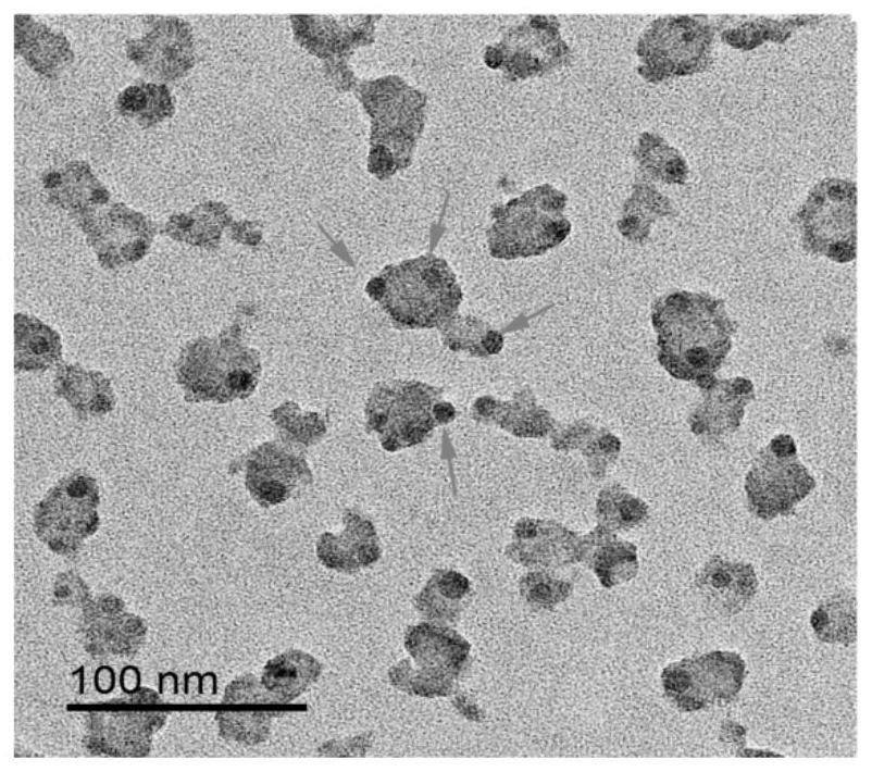 Polypeptide drug exosome nano-loading system targeting cell membrane and preparation method thereof