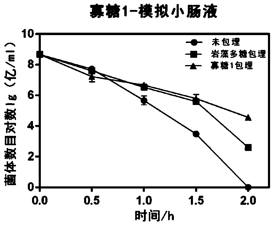 Application of fucoidin and hydrolyzed oligosaccharide thereof in preparing probiotic protection agent and method