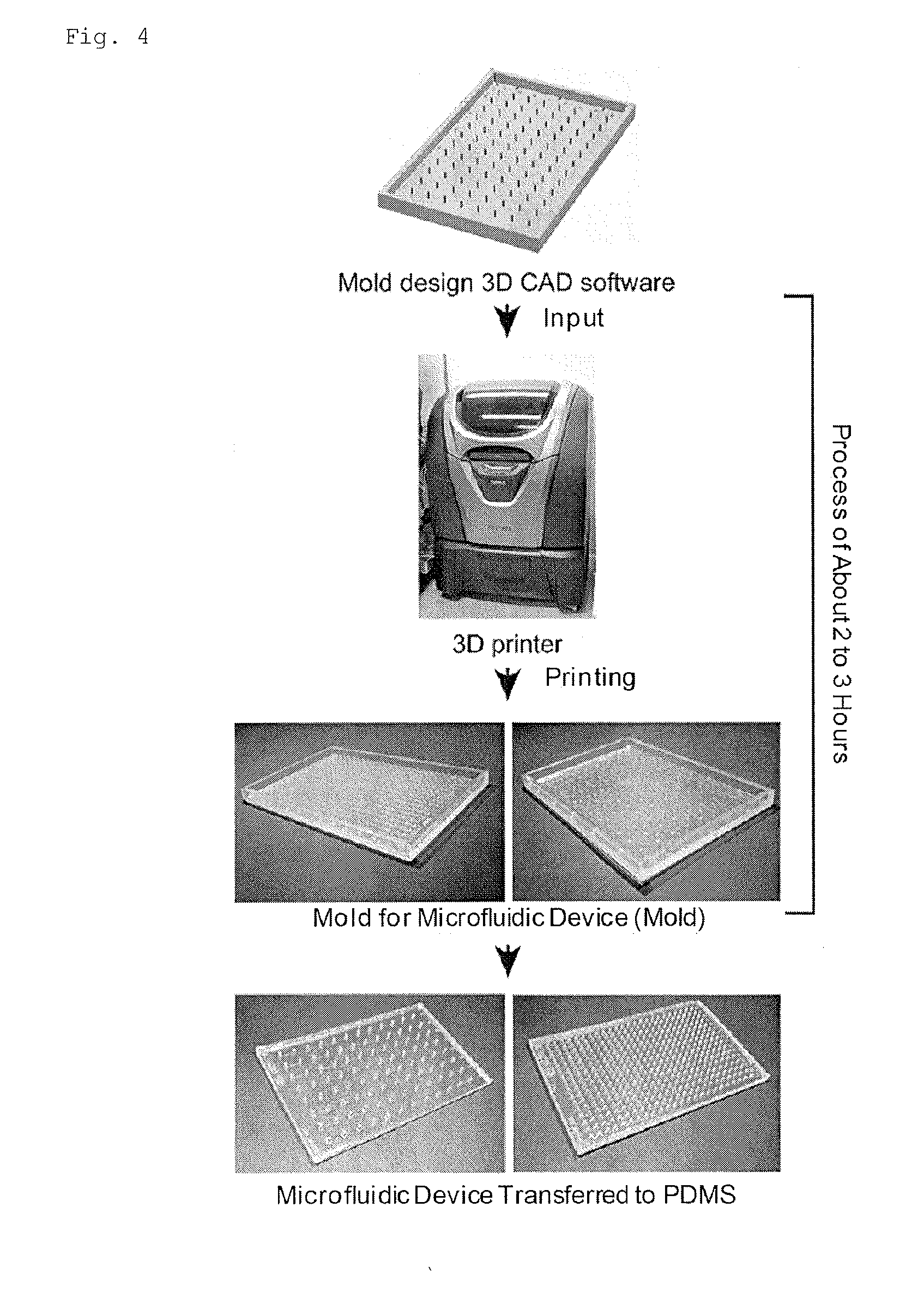 Microfluid device and three-dimensional microculture method for cell