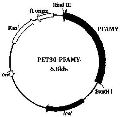 A mutant α-amylase and its preparation method and application