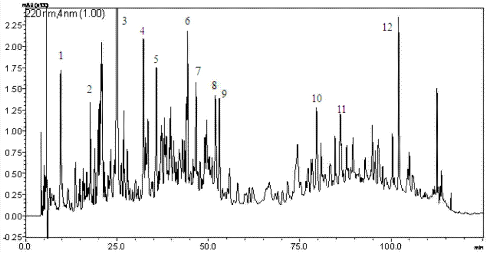 A corn active peptide additive for cell culture medium