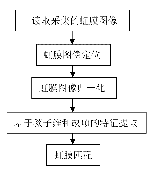 Iris identification method based on blanket dimension and lacunarity