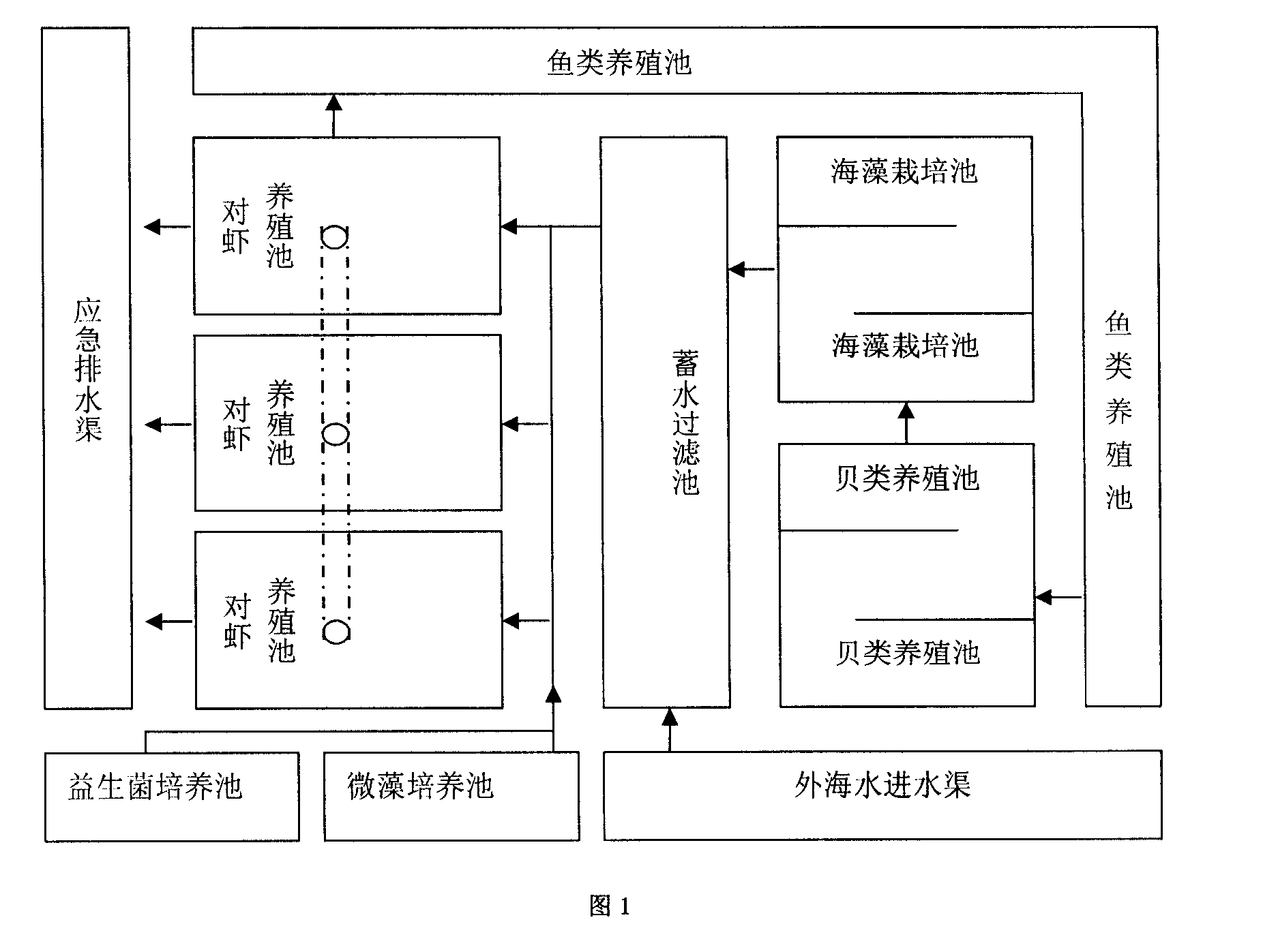 Shrimp-fish-shellfish-algae multiple cultivation and water quality biological regulate and control system thereof