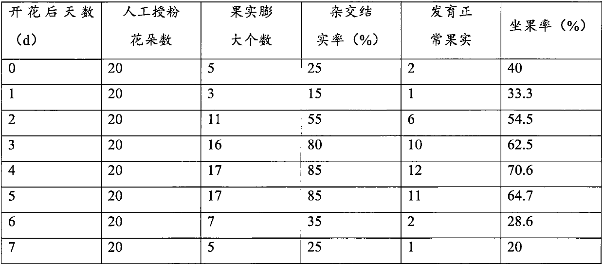 Emasculation and artificial pollination method for blueberry breeding