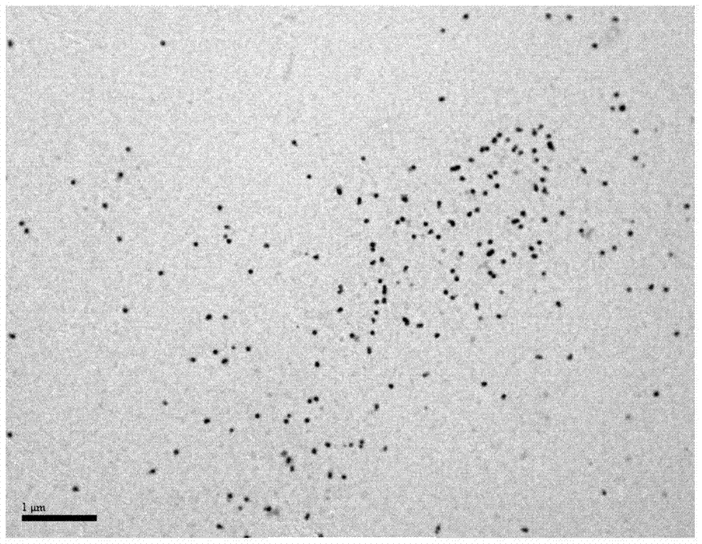 A kind of green preparation method of modified chitosan-nanometer silver sol