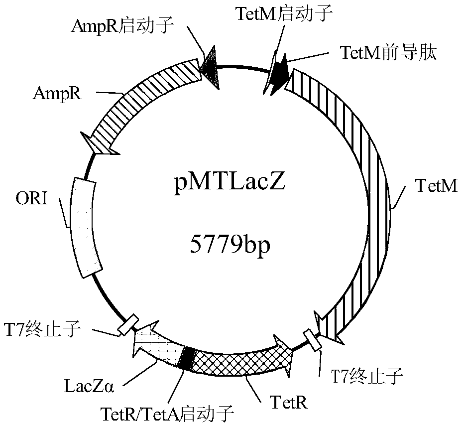 Test strip and method for detecting tetracycline antibiotics in water using biosensor