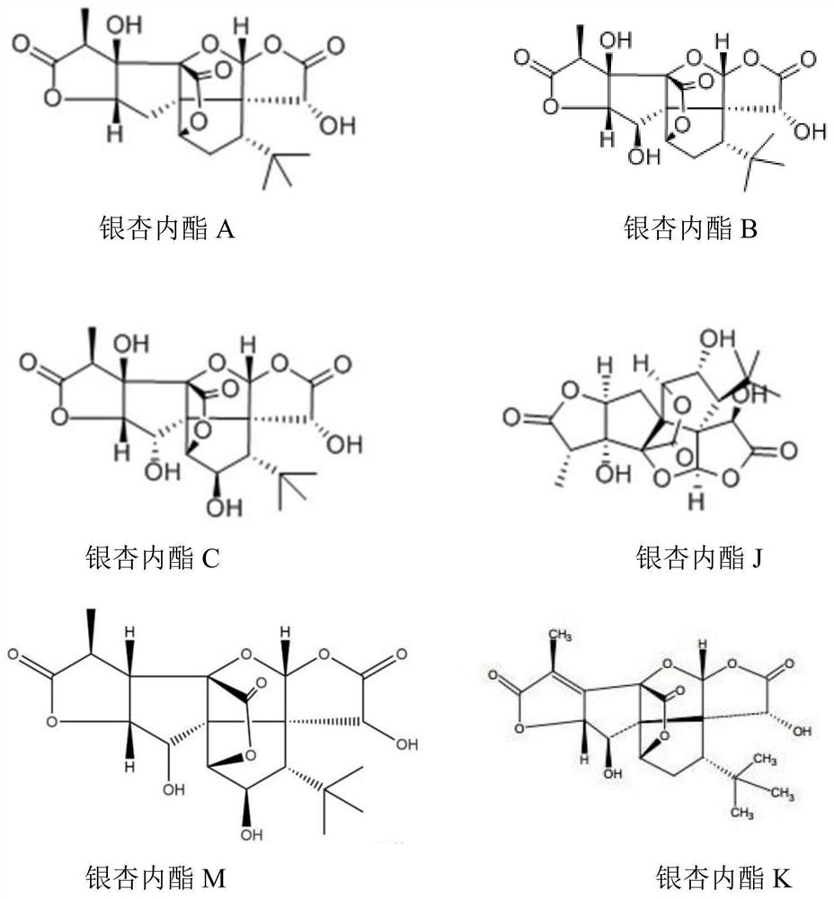 A kind of extraction process of ginkgolide