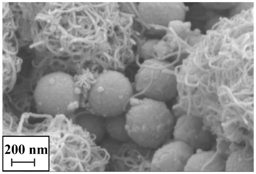 A kind of electrode of lithium sulfur battery and its preparation method and application