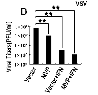 Application of MVP used as antiviral drug target