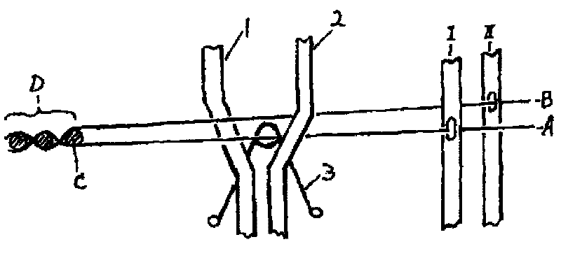 Method for weaving coating terylene industrial yarn doup structure sunshade screen