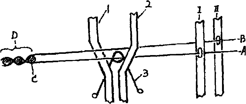 Method for weaving coating terylene industrial yarn doup structure sunshade screen