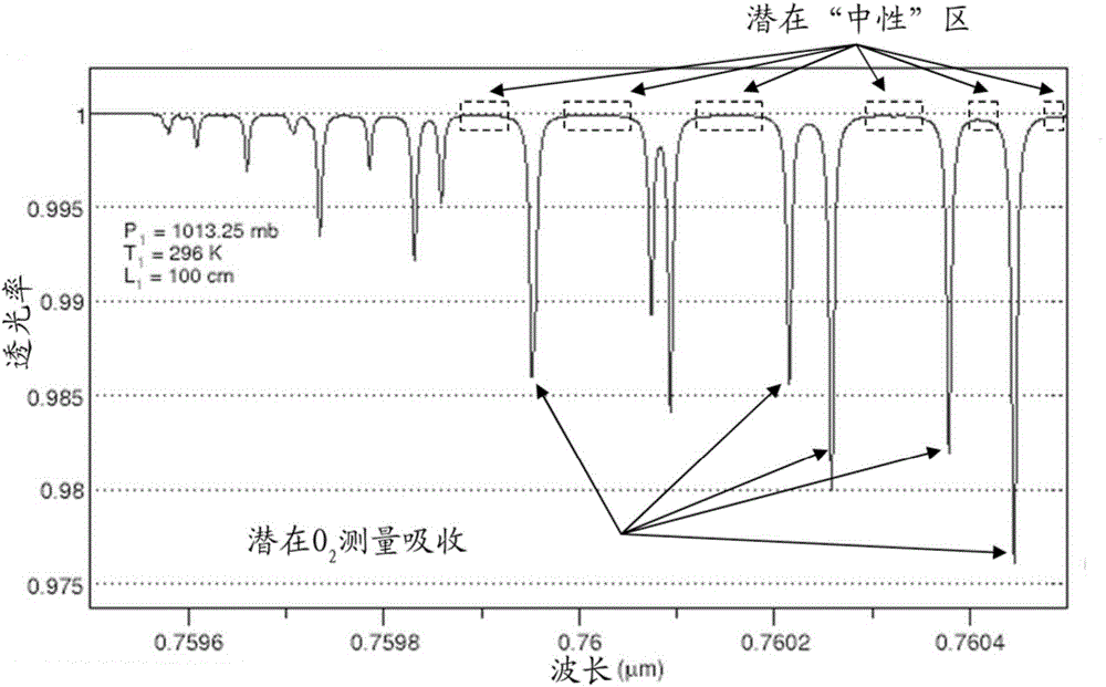 Method and system for correcting incident light fluctuations in absorption spectroscopy