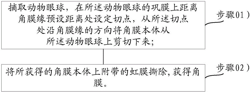 Decellularizing method for cornea