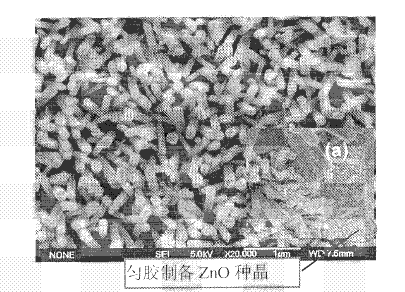 Preparation process for growing zinc oxide nanorod arrays by two-step method