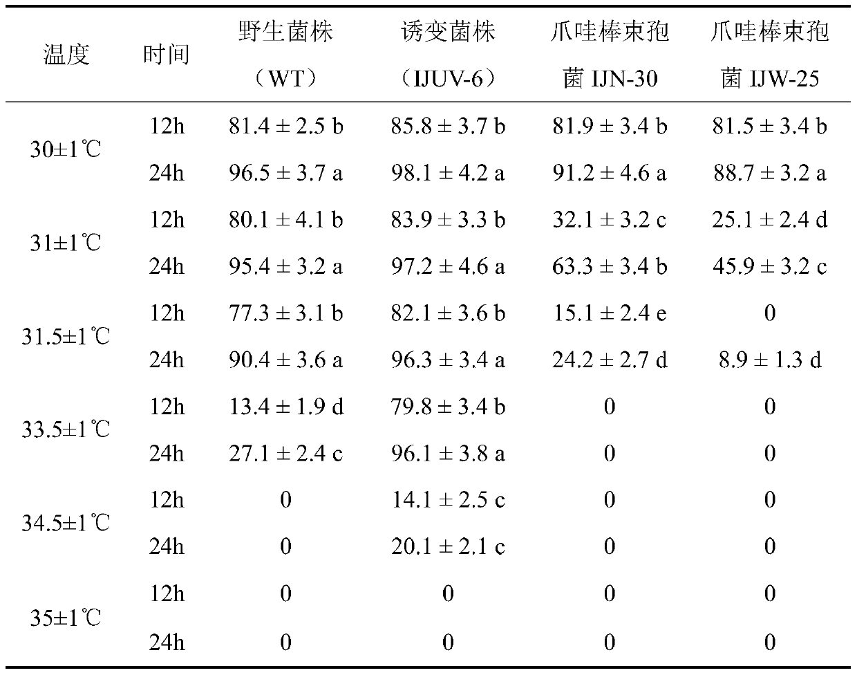 Induced strain (IJUV-6) of isaria javanica and dinotefuran compounded pesticide and applications thereof