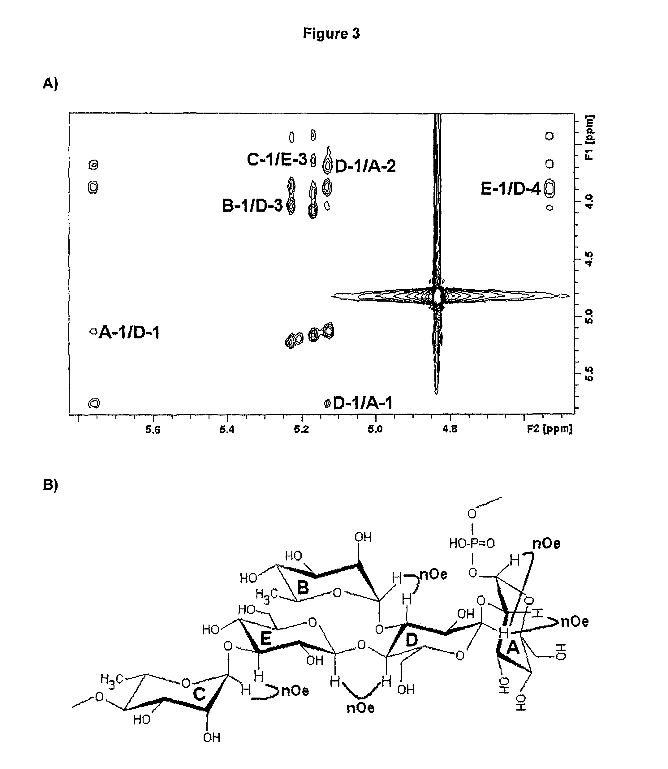 Polysaccharide immunogens from Clostridium difficile