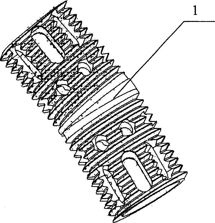 Self -fixing type artificial vertebral body and mounting tool thereof